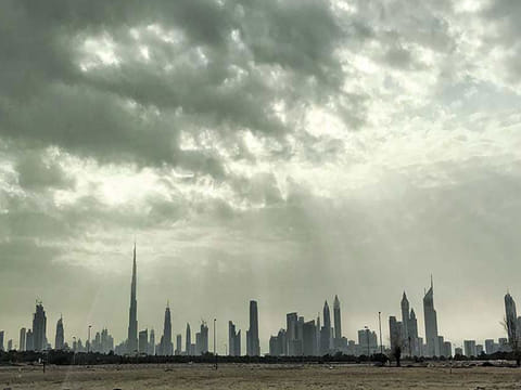 The UAE has food manufacturing capabilities that represent an important pillar in the national food security strategy