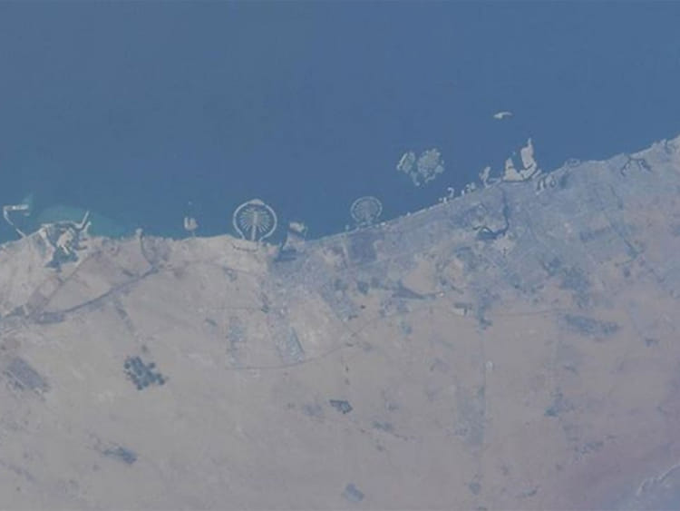 1.2178812-3172787047