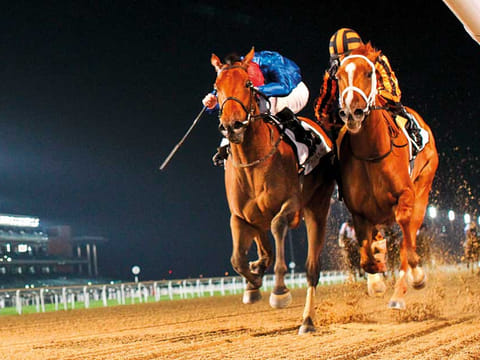 Fans are set to return to the horse racing