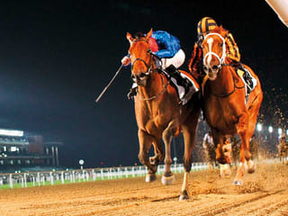 Emirates Racing Authority all set to welcome fans back for 2021-2022 UAE racing season
