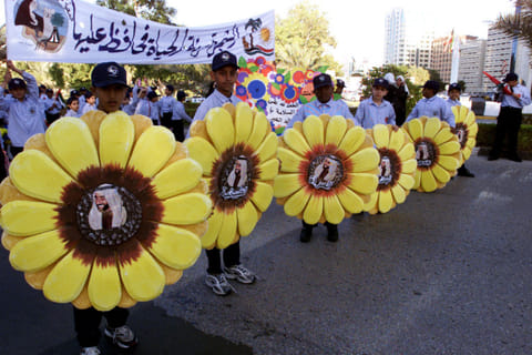 UAE is on the right sustainability track