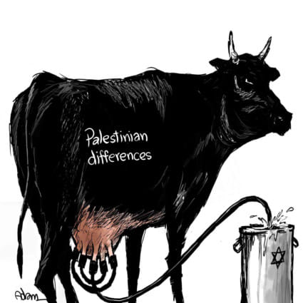 Amjad’s toon