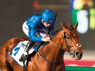 Pictures: All your Dubai World Cup horse racing fields revealed