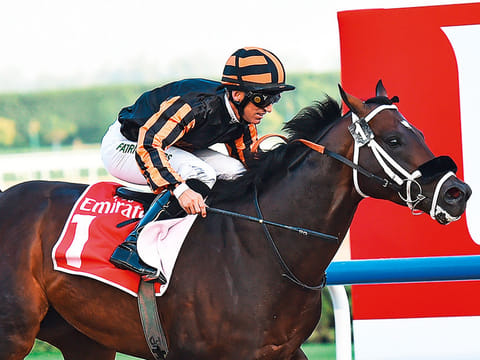 Doug Watson’s multiple Group winner Kimbear looks the best bet to win the season finale at Jebel Ali Racecourse.