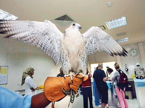 Ahmed Kutty/Gulf News Archives
