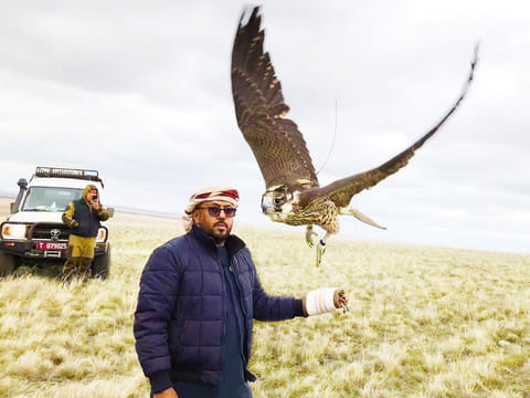 WAM
