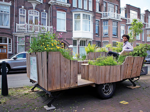 Forget parking spaces; grow a garden