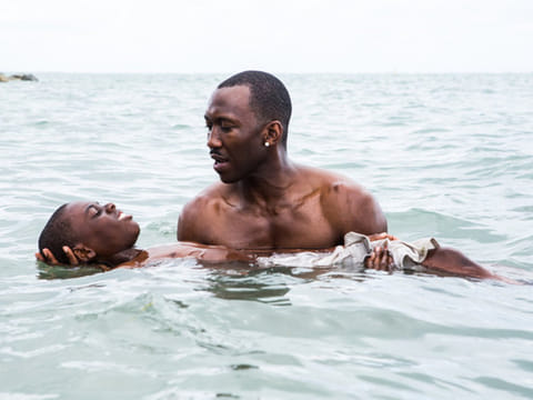 How the Oscars could change with its new academy