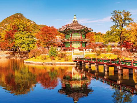 It is the season of autumn in many places around the world  
