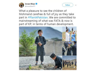 Pakistani tweeps #Plant4Pakistan
