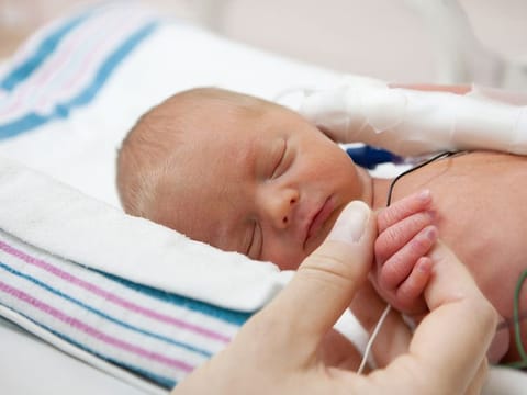Seven of the preterm babies weighed less than 500g