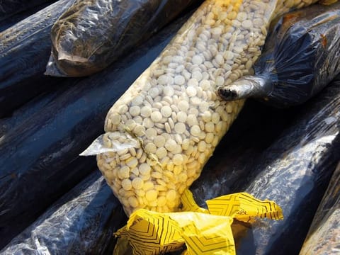Dubai Customs thwarts attempt to smuggle 5m Captagon pills.