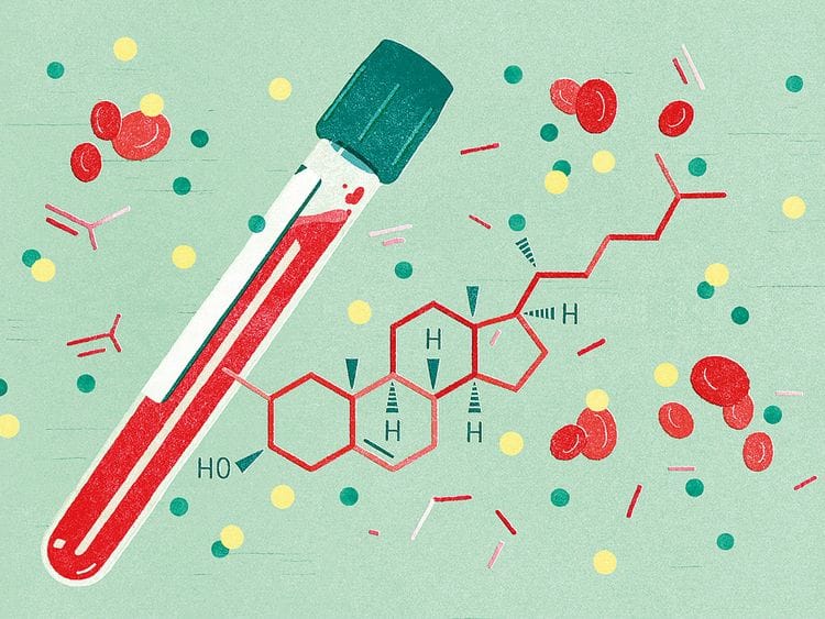 201901 sci brody health