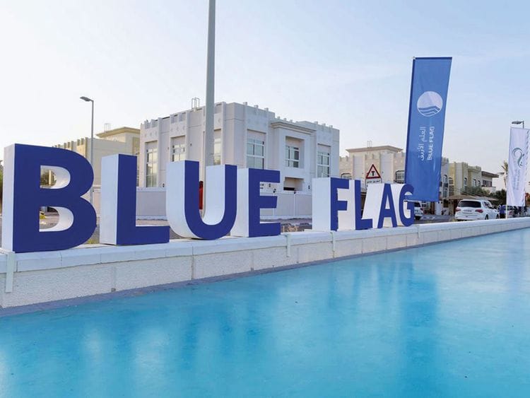 190123 blue flag program