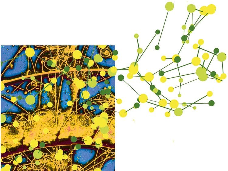 The uncertain future of particle physics