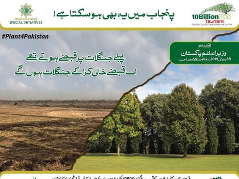 Pakistan aims to reclaim land from mafia, turn it into forests with 10 billion trees