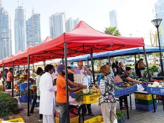 Fancy homegrown organic fruits and vegetables fresh from the farm? 