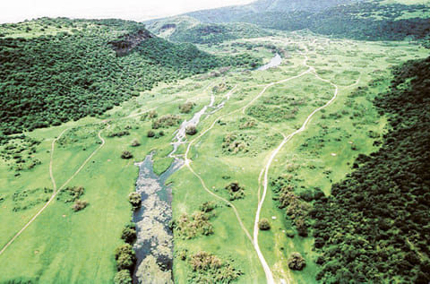 A general view of Salalah, Oman.