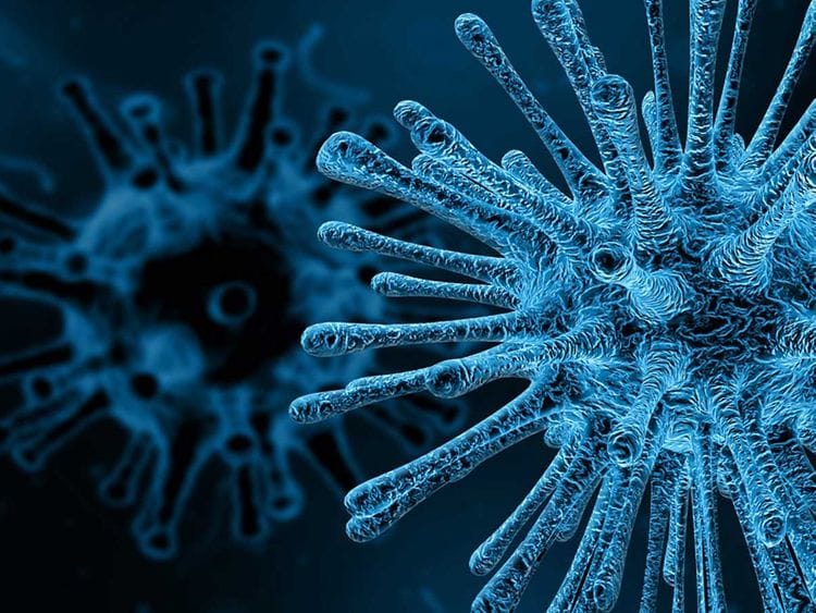 Virus Microscope Infection Disease Death Medical