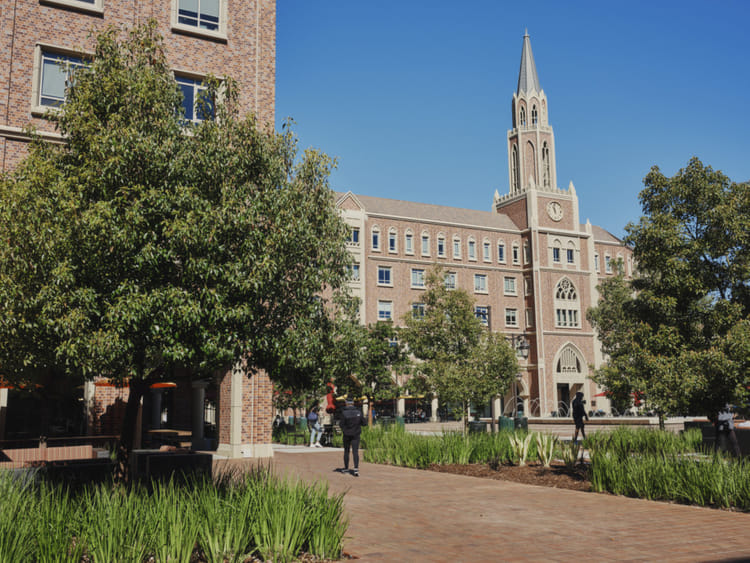 opn-University-of-Southern-California-1553430689350