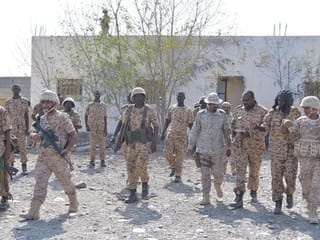 UAE, Saudi Arabia pledge to keep Yemen coalition