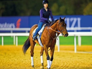 Miller dares to dream big with sprint star Roy H
