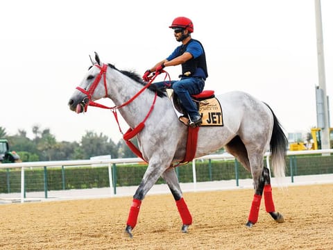 X Y JET, a contender for the $2.5m Dubai Golden Shaheen during morning trackwork at Meydan.