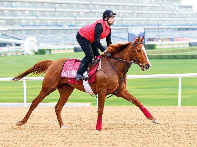 SPO_190325_DWC_TW_CALL-THE-WIND_VS-5-(Read-Only)