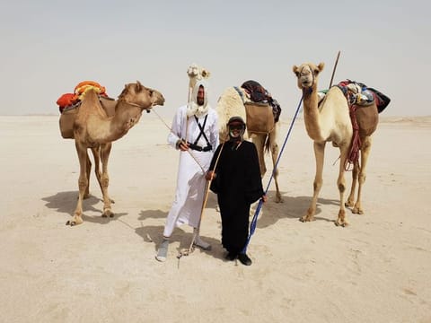 American Michael Meztger and British-Indian resident Shirley Wilkinson are travelling on camels from Abu Dhabi to Sharjah.