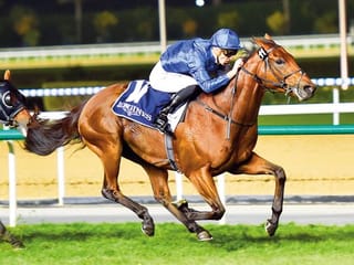 Japanese star all the rage heading into Dubai Turf