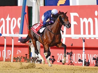 Thunder Snow chases history in Dubai World Cup