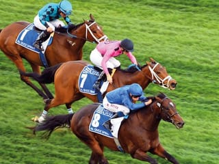 Dubai World Cup 2019 Al Quoz Sprint: Blue Point makes up for last year’s withdrawal