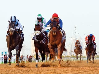 UAE Derby: More than perfect result for Walsh in UAE Derby
