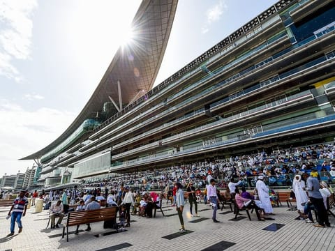 Enhanced parking spaces and free shuttle services for Dubai World Cup attendees