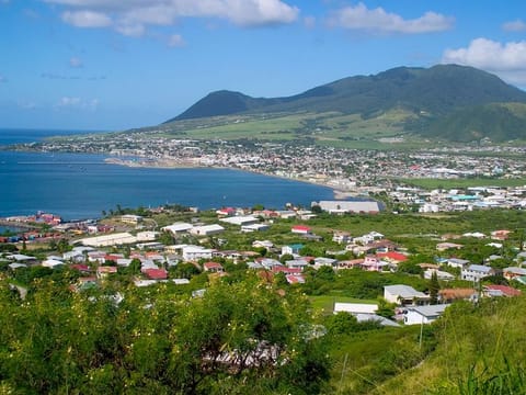 Around 2,000 applications are received annually for St Kitts-Nevis citizenship which offers visa free travel to over 130 countries.