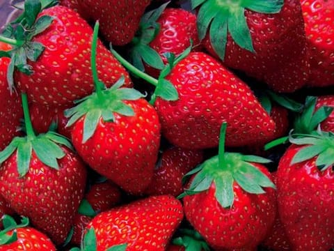 7 foods to eat without gaining any weight