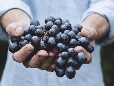 There's a new disorder about: Orthorexia, which is an obsession with health foods.