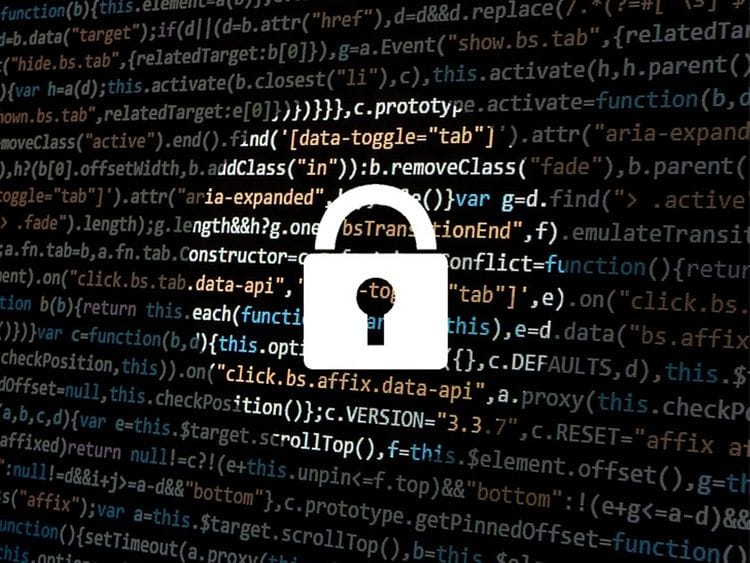 identity theft, hacking, cybercrime