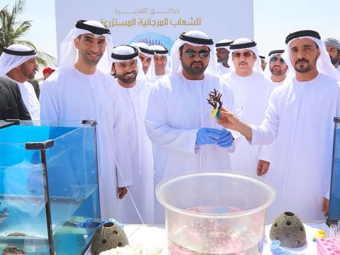 Dr Thani Bin Ahmad Al Zeyoudi, Minister of Climate Change and Environment at the launch event.