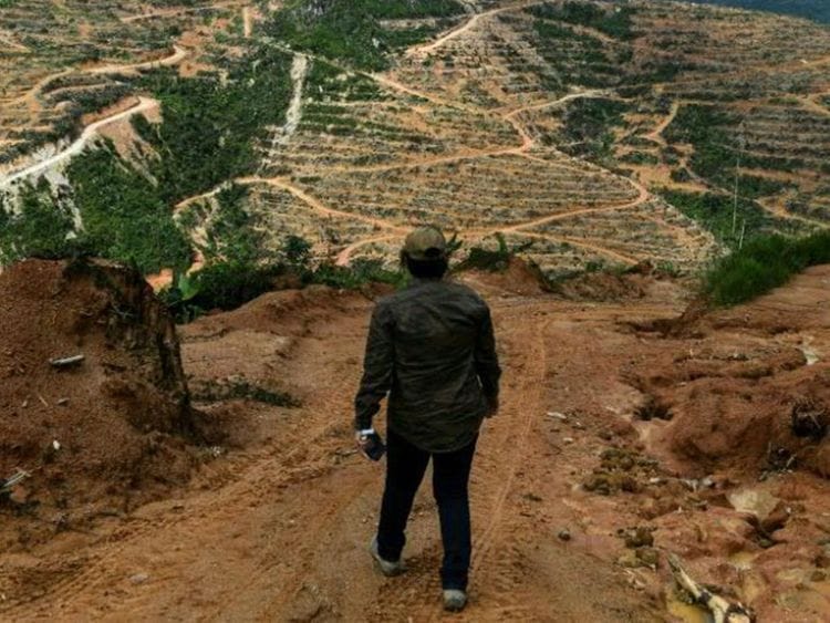 Landslides