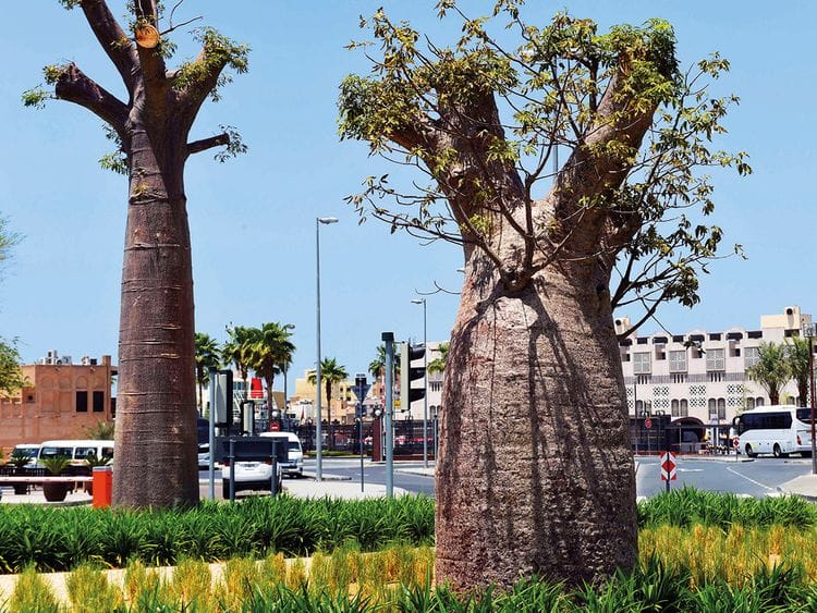 NAT-190417-NEW-TREE911-(Read-Only)