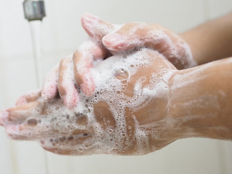hands