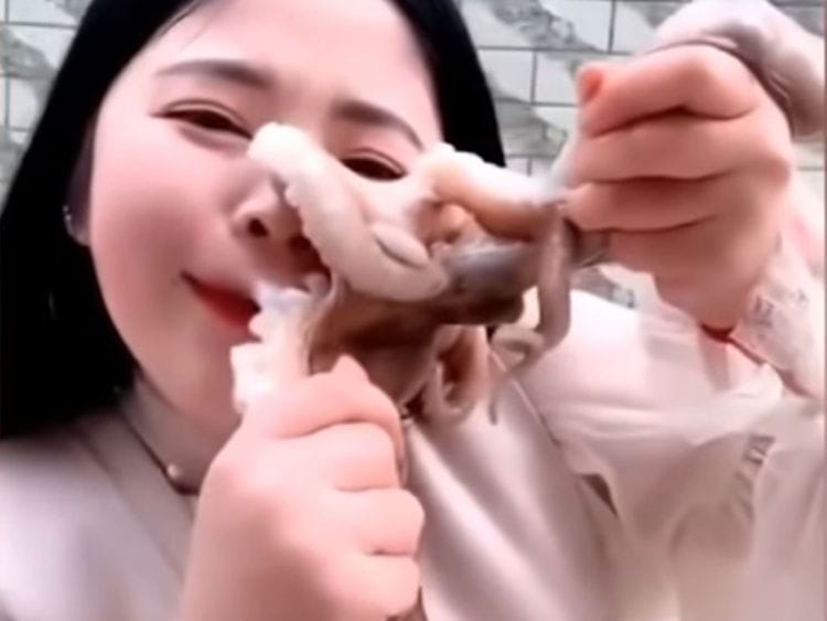 chinesevlogger