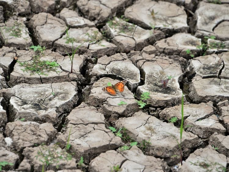 RDS CLIMATE-1558360479017