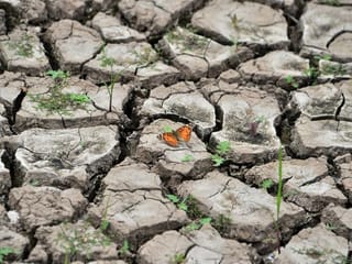 Reader's views: Our planet is dying