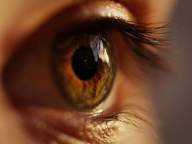 Eye, generic