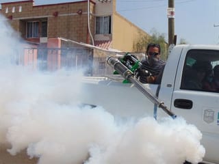 Pesticide experts: use reputable firms and never do-it-yourself