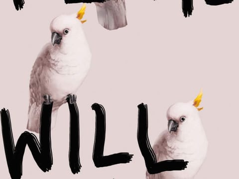 What’s On the Bookshelf: Plume by Will Wiles