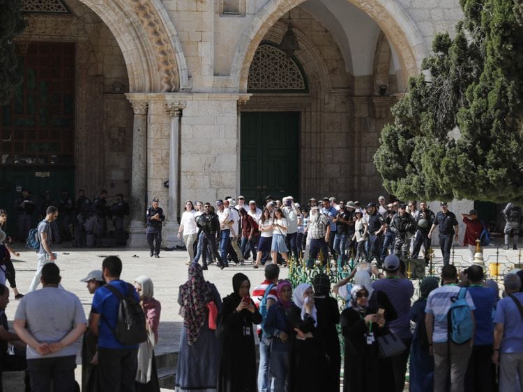 OPN Palestinians-1559474264054