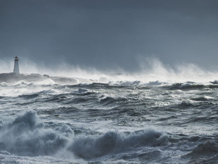 RDS OCEAN-1560955110947